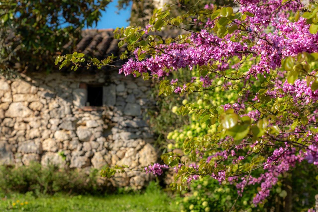Plieux La Maison De Yuka المظهر الخارجي الصورة